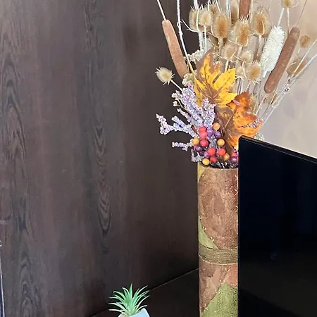 Lift 531 Апартамент Банско